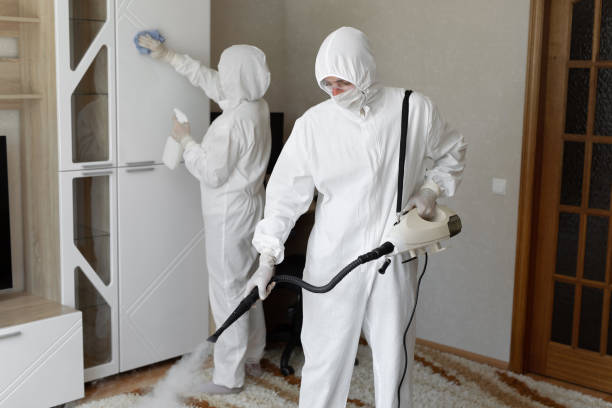 Best Industrial Mold Remediation in Demorest, GA